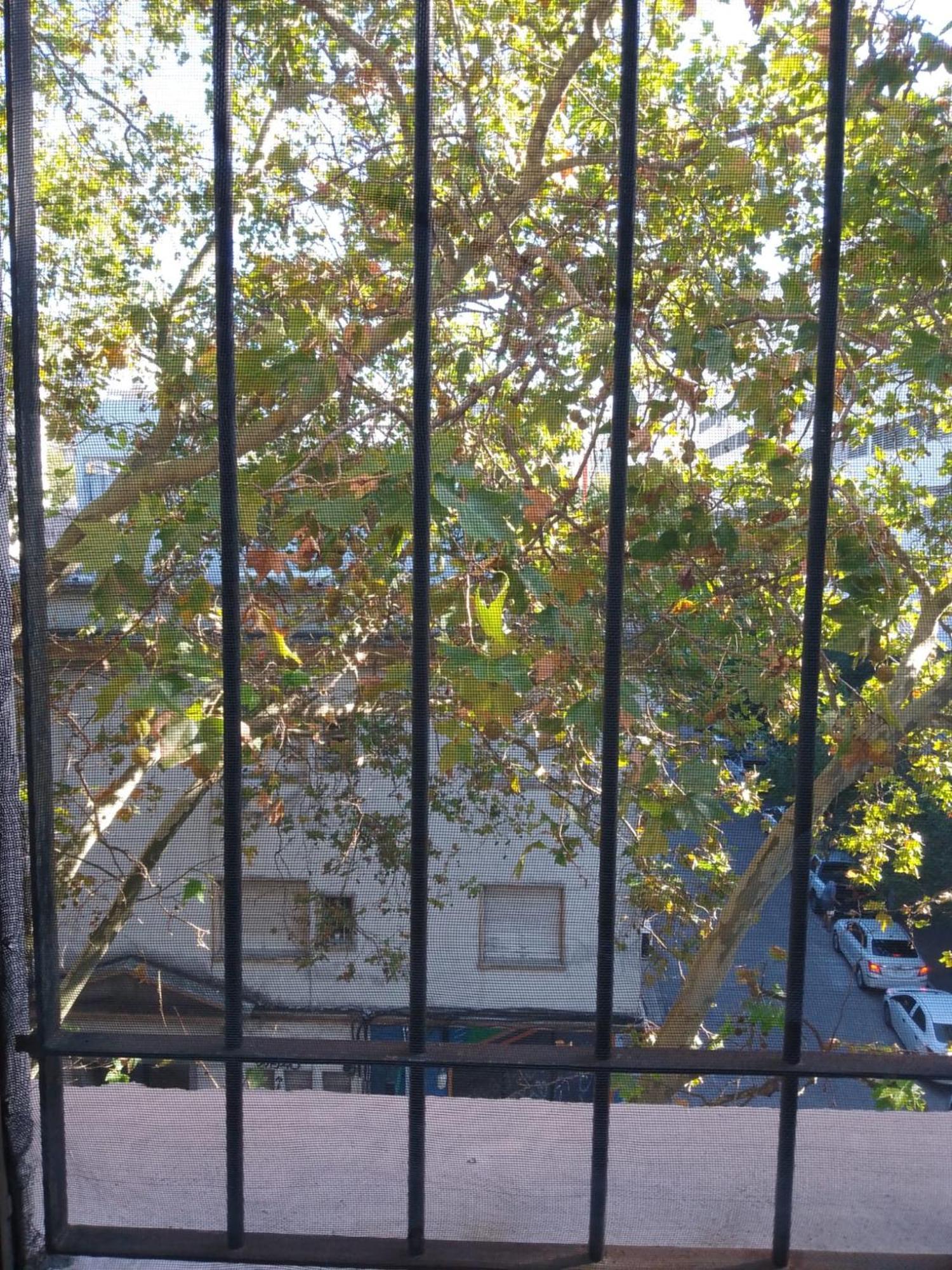 Montevideo Hostel Luaran gambar