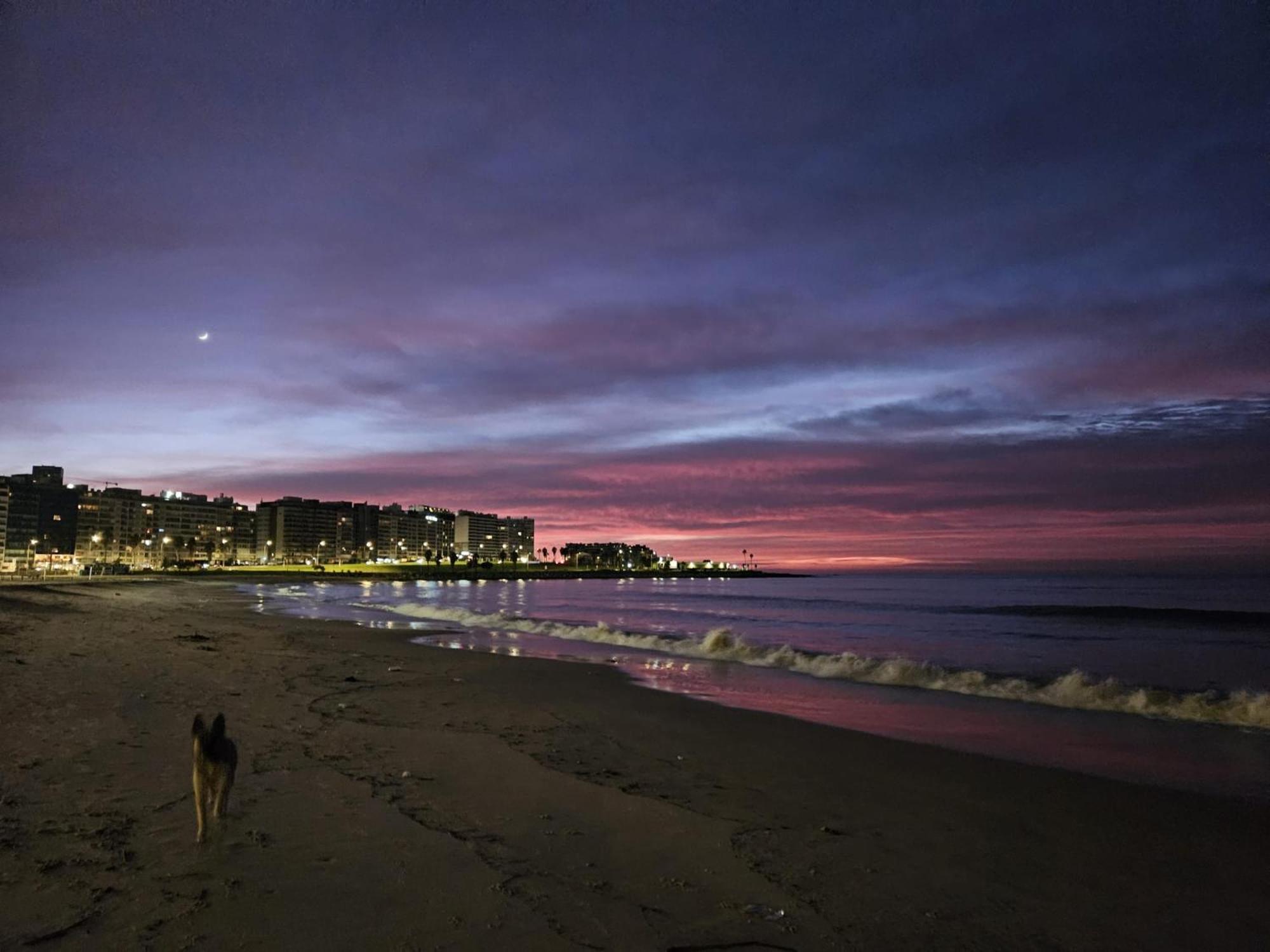 Montevideo Hostel Luaran gambar